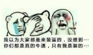 如果爱能说出来